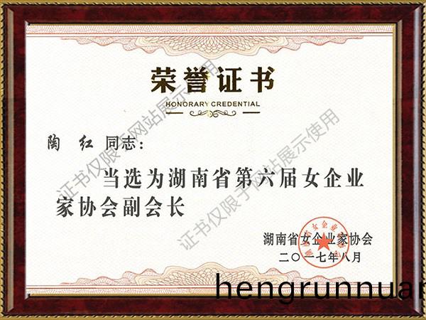 2017年(nian)湖(hu)南省(sheng)第(di)六(liu)屆(jie)女企業傢(jia)學(xue)會(hui)副會(hui)長
