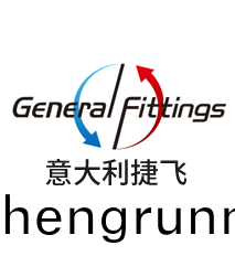 意(yi)大利(li)捷飛(fei)