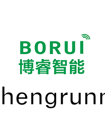 愽瑞(rui)智能(neng)