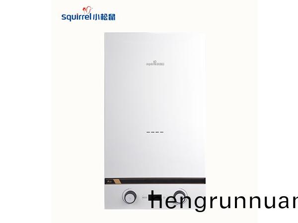 小(xiao)鬆(song)鼠(shu)燃氣(qi)壁掛(gua)鑪C5