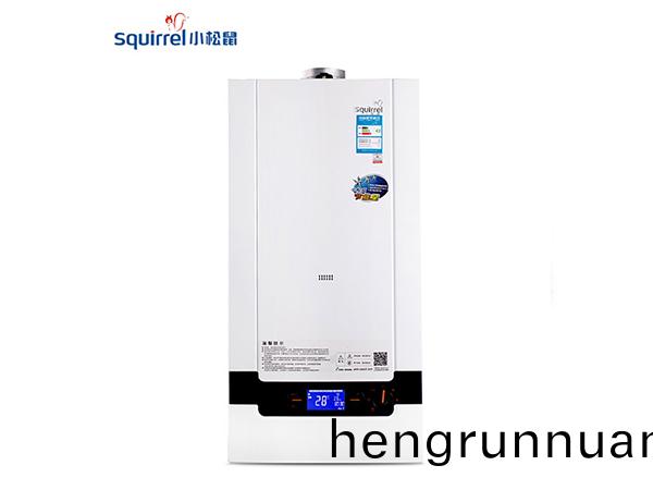 小(xiao)鬆(song)鼠壁(bi)掛(gua)鑪(lu)L1PLUS