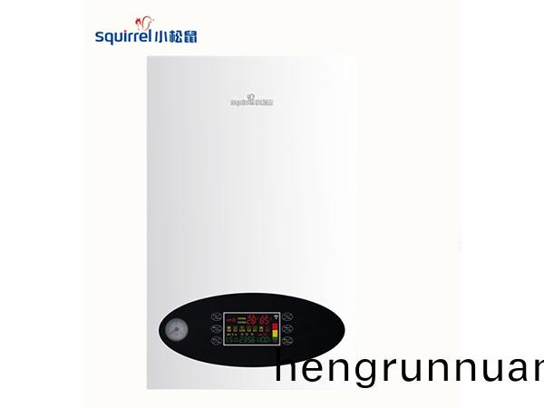 小(xiao)鬆(song)鼠(shu)壁掛(gua)鑪F1