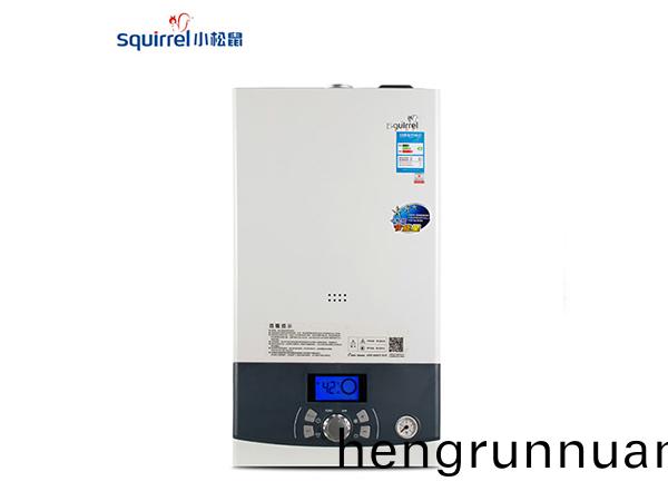 小(xiao)鬆(song)鼠(shu)壁掛(gua)鑪(lu)B3